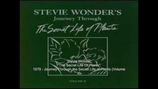 Stevie Wonder - The Secret Life Of Plants