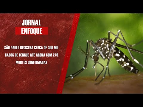 São Paulo registra cerca de 300 mil casos de dengue até agora com 270 mortes