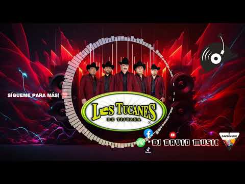 🔥La Ley 57 ✘ No solo de Traficante ✘ Cien por Uno Tucanes de Tijuana Dj David Music Mix Corrido 2025