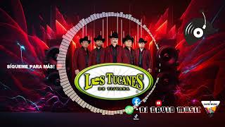 🔥La Ley 57 ✘ No solo de Traficante ✘ Cien por Uno Tucanes de Tijuana -Dj David Music Mix Corrido Vol
