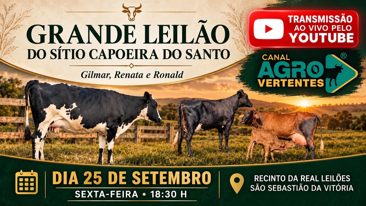 GRANDE LEILÃO SÍTIO CAPOEIRA DO SANTO - GILMAR, RENATA E RONALD - SÃO JOÃO DEL REI/MG - 25/09/2026