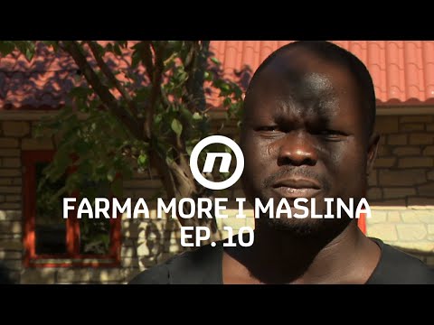 Prince otvoreno o rasizmu - Epizoda 10 | Farma More i Maslina