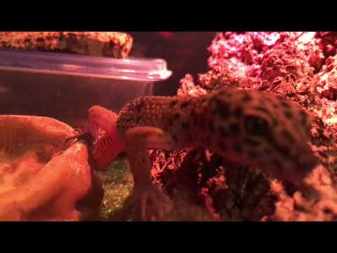 Up Close and Personal