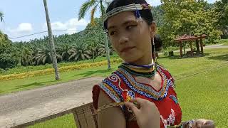Download lagu The Tengara Murut Tribe in Kalabakan Sabah mp3 Download lagu The Tengara Murut Tribe in Kalabakan Sabah mp3