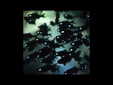 [ FREE ] NeS x Luther x Ajna type beat - "opening" (prod.nausaah)