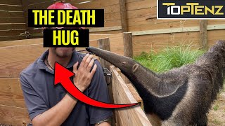 10 Horrifying Stories of Animals Killing their Owners