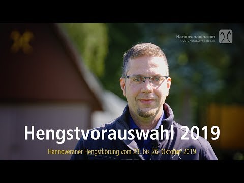Hannoveraner Hengstvorauswahl 2019