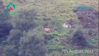 preview picture of video '7th August 2012 - Badcall Bay - Scourie'