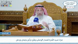 2640 - جزاء صيد المُحرم لحمار الوحش وبقَرِه وأيل وتيتل ووعل - عثمان الخميس