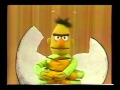 Sesame Street School Pageant The Life Of A Butterfly