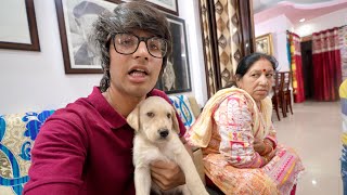 New Family Member 🥹 But Mummy Ne Mana Kar Diya