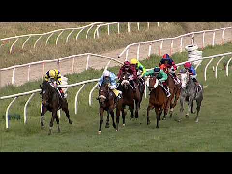 Napoli Galoppo 09/03/2023 - 3ª corsa