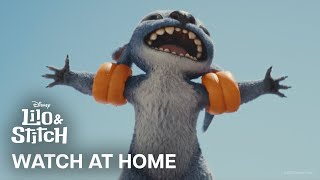 Watch again, and again, and again!