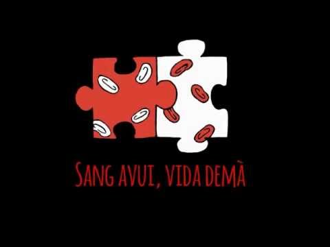 SALESIANS MATARÓ APS 3ESO 1415