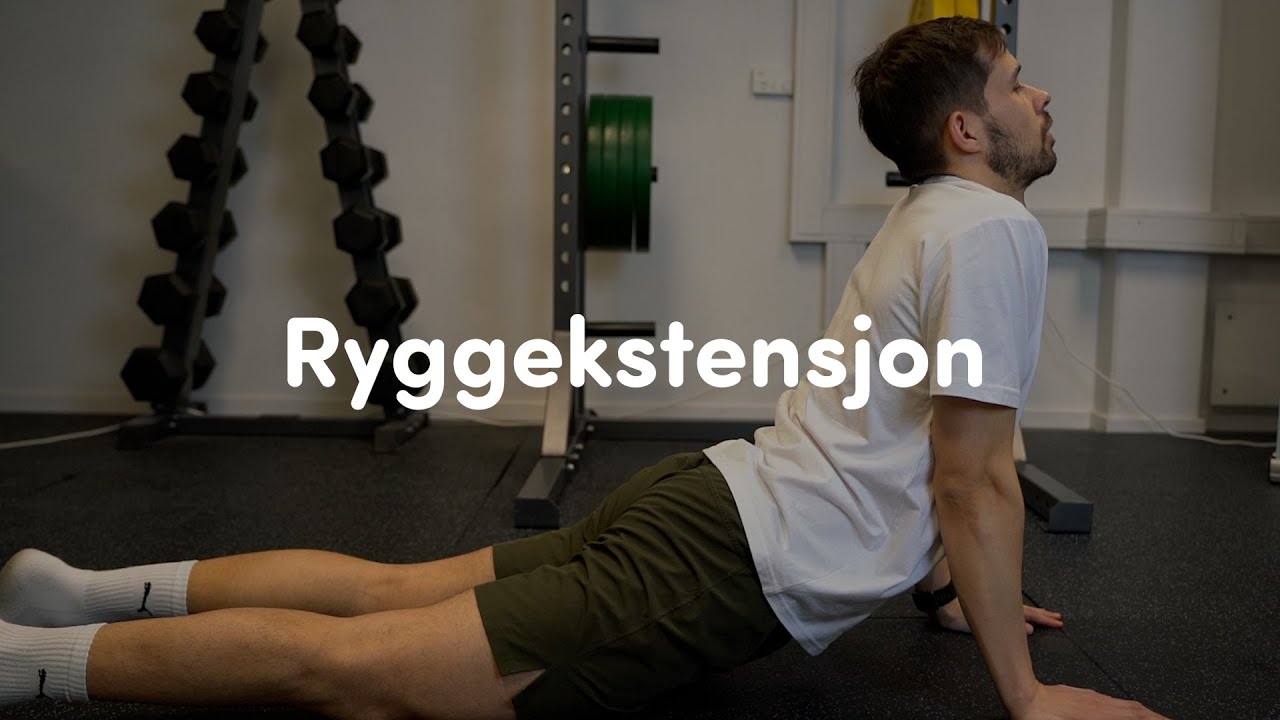Ryggekstensjon