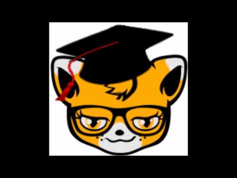 StudyFox - Eldoradio Interview