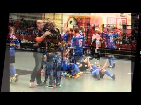 GGIK P01 BUSTERCUP 2014