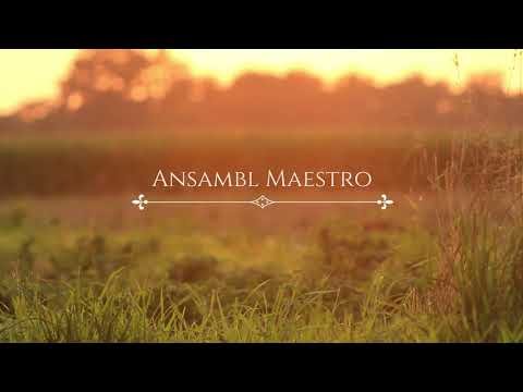 Serbian Ethno Music - "Prijo kako ćemo" (Ansambl Maestro)