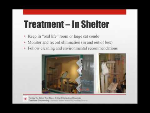 Curing the Litter Box Blues - Feline Elimination Disorder - Full video - conference recording