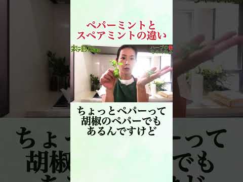 医療ビジネス薬科学科 🌿ペパーミントとスペアミントの違い #shorts #ハーブ #体質改善