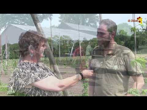 Plattelandsrondje 2023