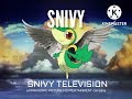 Snivy Television Logos 1985 2000