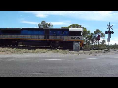 SCT Freight Train Near Littlehampton