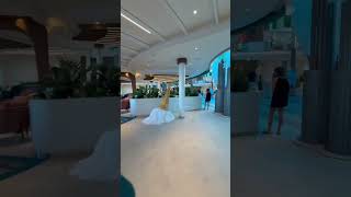 Get ready for Star of the Seas!