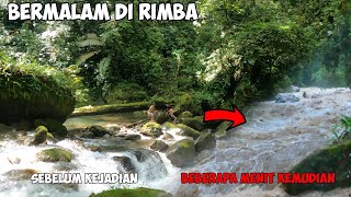 Download lagu Adventure Exploring the Forest Looking for Fish in Flood  Fishing Camp Overnight mp3