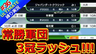 【ウイポ10 2025】＃36 自家生産馬無双！無敗三冠馬誕生！縛りプレイ！史実馬所有なし！引き継ぎなし！難易度ULTIMATE！1981年10月1週～【ウイニングポスト10 2025】