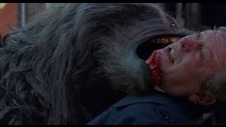 Twilight Vampire vs Wolfman,Wolf magic animal,Wolf will won or vampire?