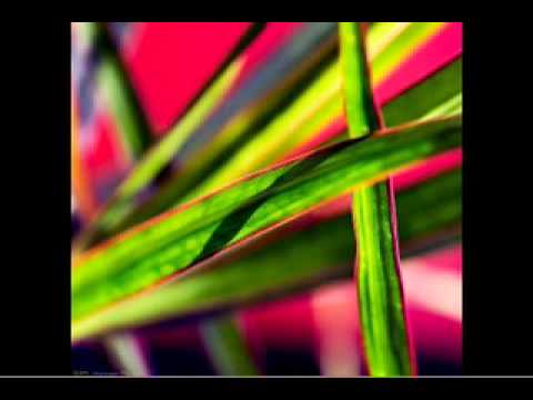 Yousuke Yasui - Kekkaishi: Kokubourou Shuurai OST - Unknown track title