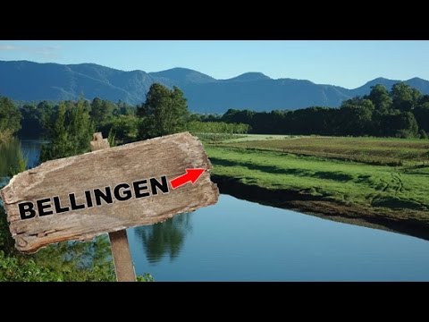 Yowie / Bigfoot Sighting (Audio Report #110) near Bellingen, New South Wales