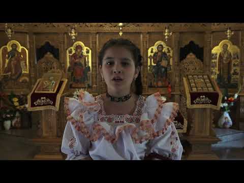 Iulia Ioana Vlad - Preasfântă Maică și Fecioară