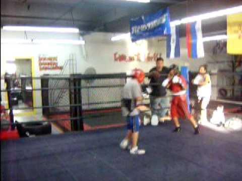 boxing daniel rodriguez