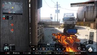BO3 サーチやばのぬいたった