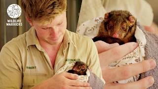 Robert Irwin on the Importance of Protecting our Baby Wildlife