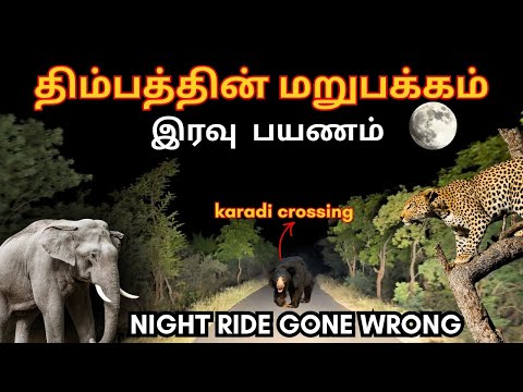 Dhimbam Forest Night Ride| Wild Animals Surrounded Our Vehicle