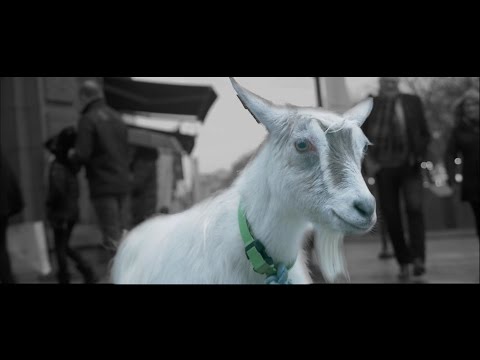 Ullernrevyen 2017 - RAR