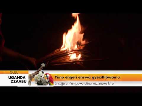 Agataliikonfuufu: Yiino engeri Enswa gyezikwatibwaamu.