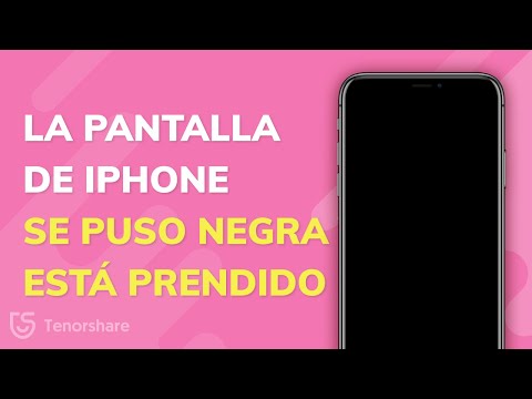 ¡3 Soluciones GRATUITAS Para Cuando Tu iPhone Está Encendido pero su Pantalla Permanece Negra!