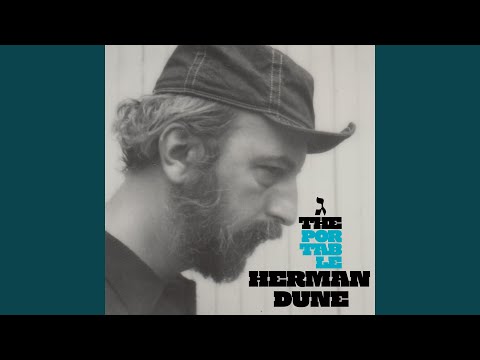 You Stepped on Sticky Fingers - Herman Dune