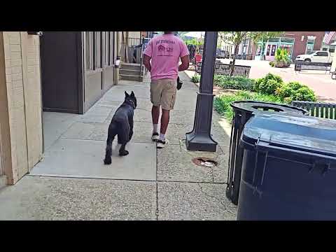 Take A Stroll Around Town With "Aslan" Mature Lady
