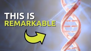 Wonder of DNA 4/10/14 @ 8:00 pm EST