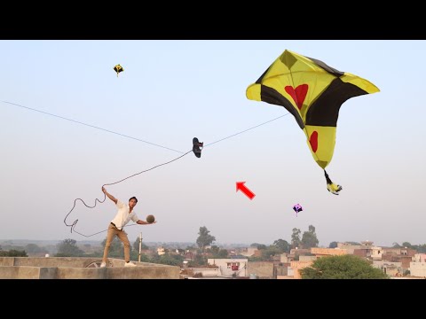 Nasir Vs Abubakar Gudda Cutting Challenge With 1k Rupees 2023