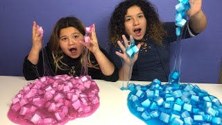 1 GALLON OF JELLY CUBE SLIME VS 1 GALLON OF JELLY CUBE SLIME - MAKING GIANT CLEAR SLIMES