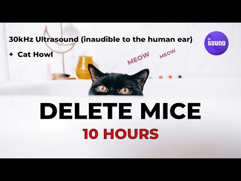 Mouse repellent sound / Ultrasonic rat deterrent (inaudible to human) with a cat's meow every 10 sec