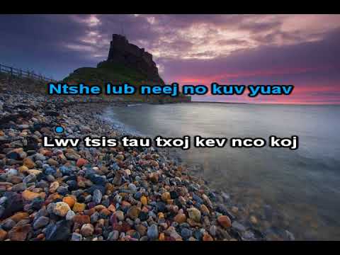 Plam Koj Tim Vaj Loog Tsua Instrumental + Lyrics - FBI