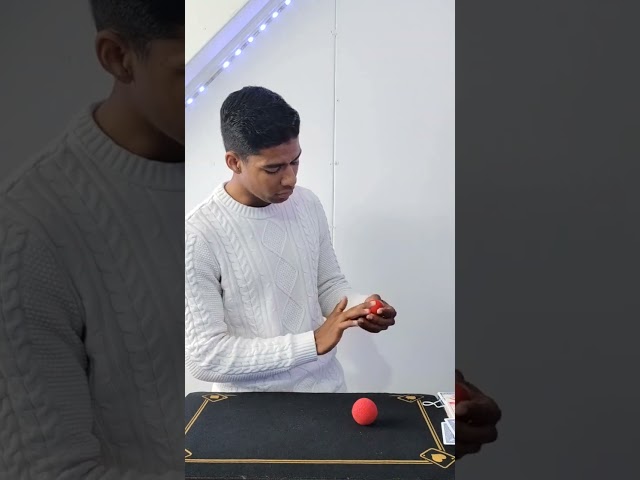 Vídeo relacionado con SEAFRONT Bola de Esponja Suave Roja, Accesorio Mágico Clásico, Bolas de Esponja Rojas Vívidas para Magos, Trucos de Desaparición y Multiplicación para Deleitar Al Público, 4,5 Cm de Diámetro