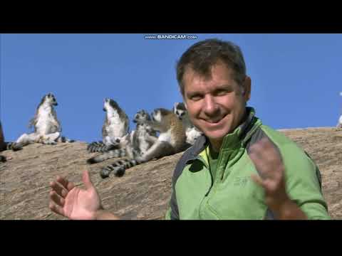 Go Wild! Mission Wildnis - Staffel 3 Folge 20 - Was riecht denn da?